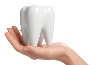 歯を残すことの重要性