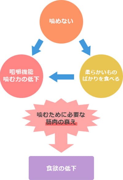 加齢による口腔機能低下と全身の健康